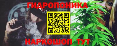 прущий лед Будённовск